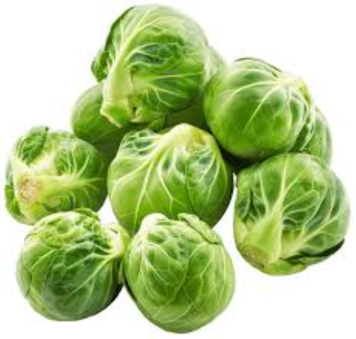 FRESH BRUSSEL SPROUT